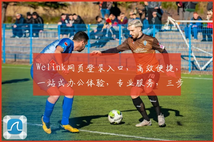 Welink网页登录入口，高效便捷，一站式办公体验，专业服务，三步快速登录，体验非凡