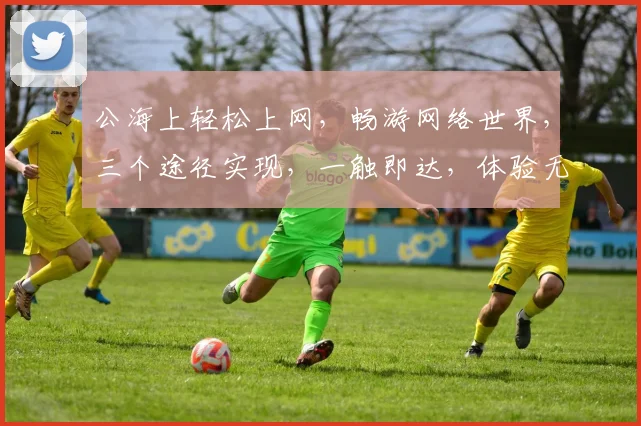 公海上轻松上网，畅游网络世界，三个途径实现，一触即达，体验无限可能。